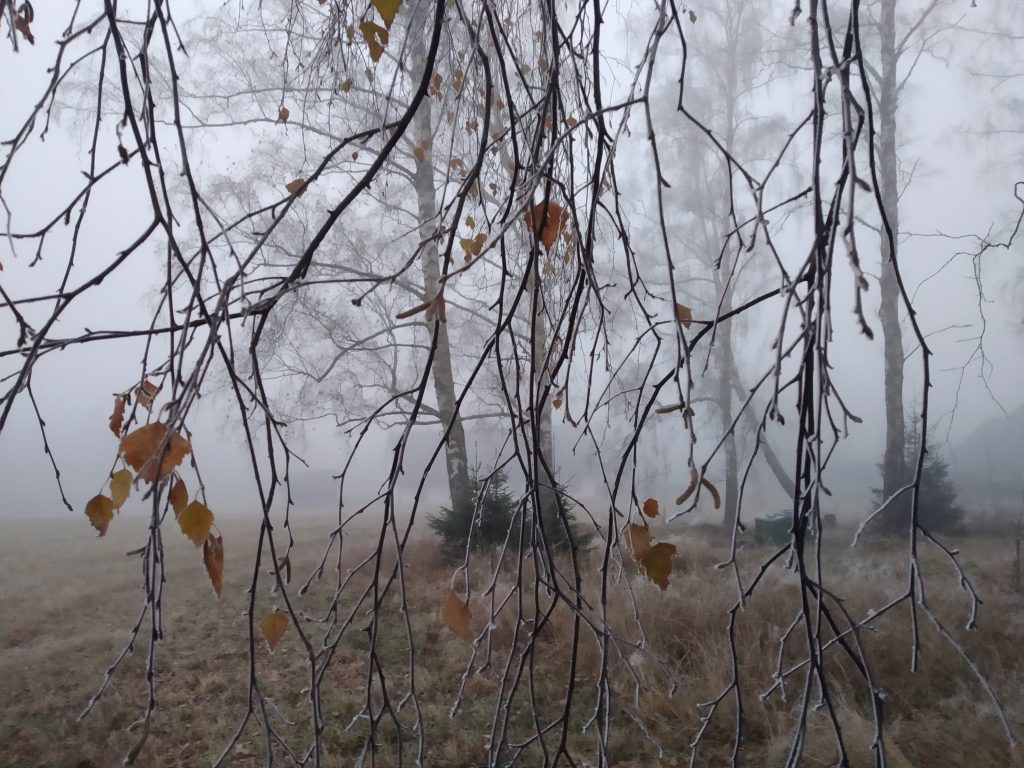 Aktuální obrázek nemá žádný alternativní popis. Název souboru je: IMG_20201126_155632-scaled.jpg