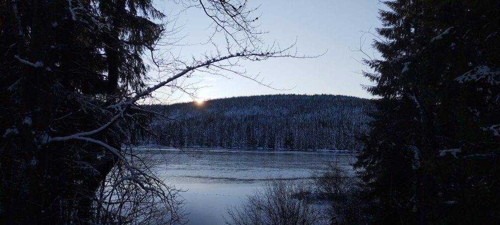 Aktuální obrázek nemá žádný alternativní popis. Název souboru je: Protrzena-scaled.jpg