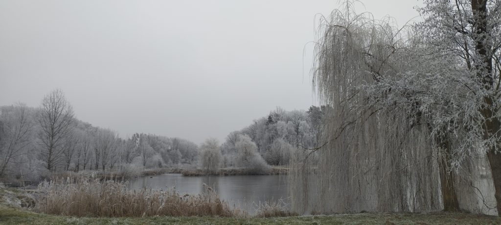 Aktuální obrázek nemá žádný alternativní popis. Název souboru je: suhrovicke-rybniky-scaled.jpg